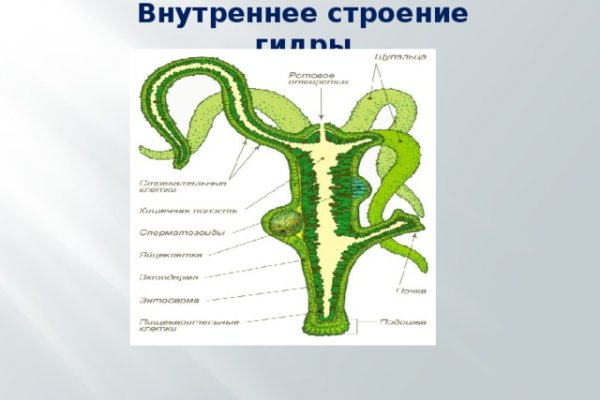 Кракен это сайт vtor run